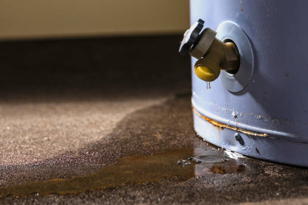 Best Water damage contractors near me  in Baraboo, WI