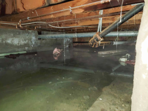 Best 24/7 water damage repair  in Baraboo, WI