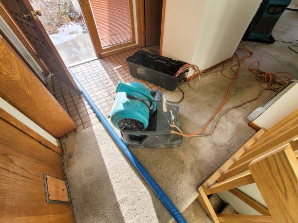 Best Local water damage restoration  in Baraboo, WI