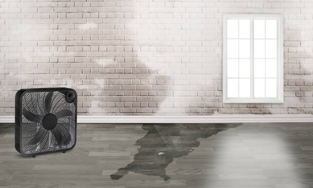 Best 24-hour water damage restoration  in Baraboo, WI