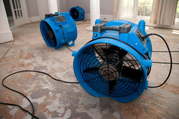 Best Water damage restoration near me  in Baraboo, WI