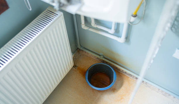 Best Carpet water damage restoration  in Baraboo, WI