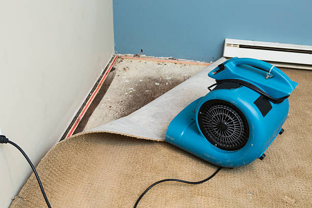 Best Fire Damage Restoration  in Baraboo, WI